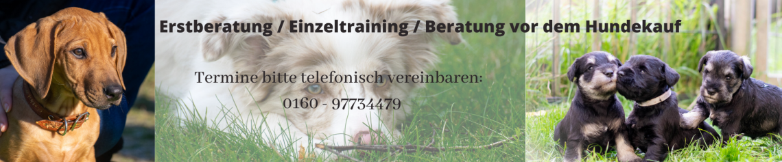 Einzeltraining