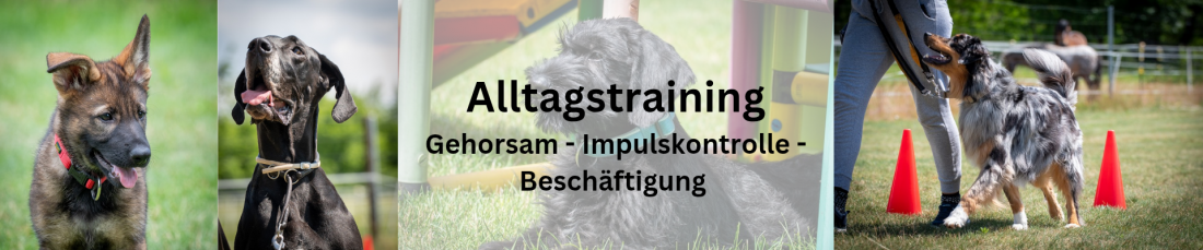 Alltagstraining